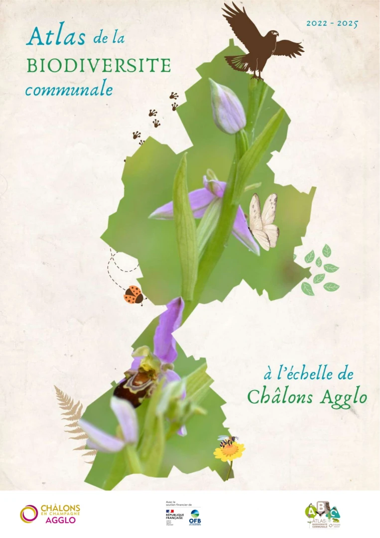 Rapport final - ABC Châlons Agglo